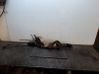 Steering rack 6800001254