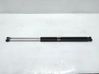 Tailgate/trunk strut/damper 