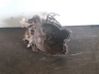 Manual 5 speed gearbox 20DH39