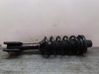 Rear shock absorber/damper 