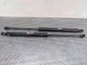 Tailgate/trunk strut/damper 