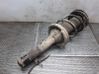 Front shock absorber with coil spring 