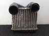 Intercooler radiator 0003007V005
