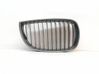 Front grill BM070192R1