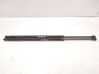 Tailgate/trunk strut/damper 