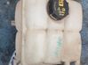 Coolant expansion tank/reservoir 8V618K218A