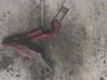 Tailgate/trunk/boot lift motor 