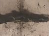 Front bumper shock/impact absorber DF71502J1K4150