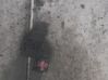 Interruptor del elevalunas eléctrico 8608A242