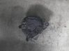 Generatorius 