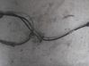 ABS brake wheel speed sensor FOTO
