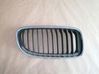 Front grill 51137201968
