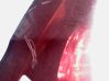 Rear/tail lights 283301
