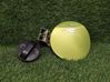 Fuel tank cap 95963456