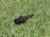 Outside/exterior temperature sensor 6936963