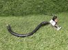 Negative earth cable (battery) 8T0915181