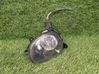 Front fog light 8P0941700A