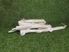 Roof airbag 13251644