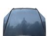 Engine bonnet/hood 