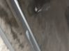 Rear door 7751472404
