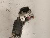Rear door lock 