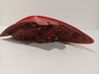 Rear/tail lights D65151160M