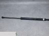 Tailgate/trunk strut/damper 08B21C1