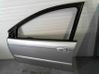 Durvis 9002P1