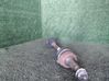 Eje de transmisión delantero 3272JZ