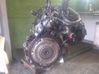 Variklis 55574849