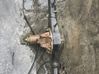 Rear differential 4651086CA0