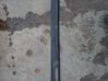 Roof trim bar molding cover 