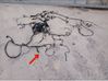 Other wiring loom 