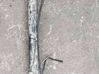 Rear axle beam 