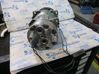 Air conditioning (A/C) compressor (pump) 