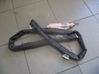 Roof airbag 