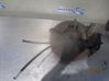 Front wheel hub spindle knuckle 