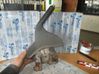 Handbrake/parking brake lever assembly 