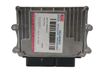 Engine control unit/module 391F204DC0