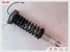 Rear shock absorber with coil spring 202960