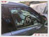 Regulador de puerta delantera con motor C39789101