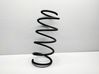 Front coil spring 