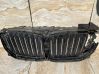Kühlergrill 226775