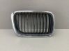 Front grill 8195094