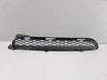 Front fog light trim/grill 7116397
