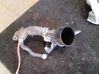 Air intake hose/pipe 