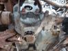 Front differential 