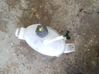Coolant expansion tank/reservoir 