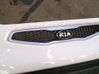 Front grill 