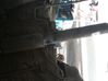 Rear shock absorber/damper 